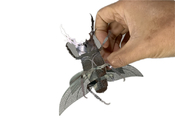 Diy 3D 곤충 모델 성인 금속 퍼즐 얼룩 강철 소재